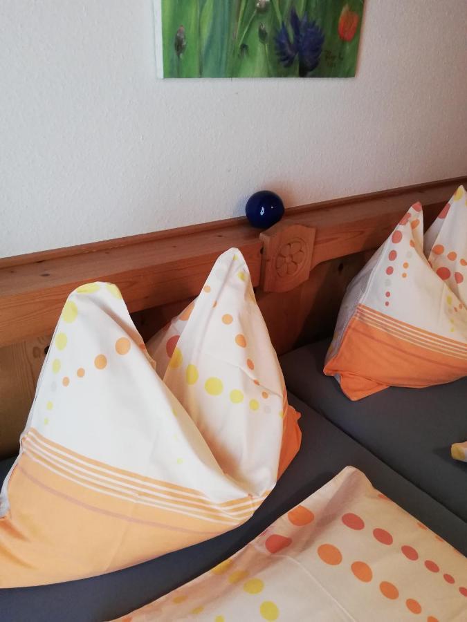 Ferienwohnung Wachmann Rohrbach am Kulm Extérieur photo